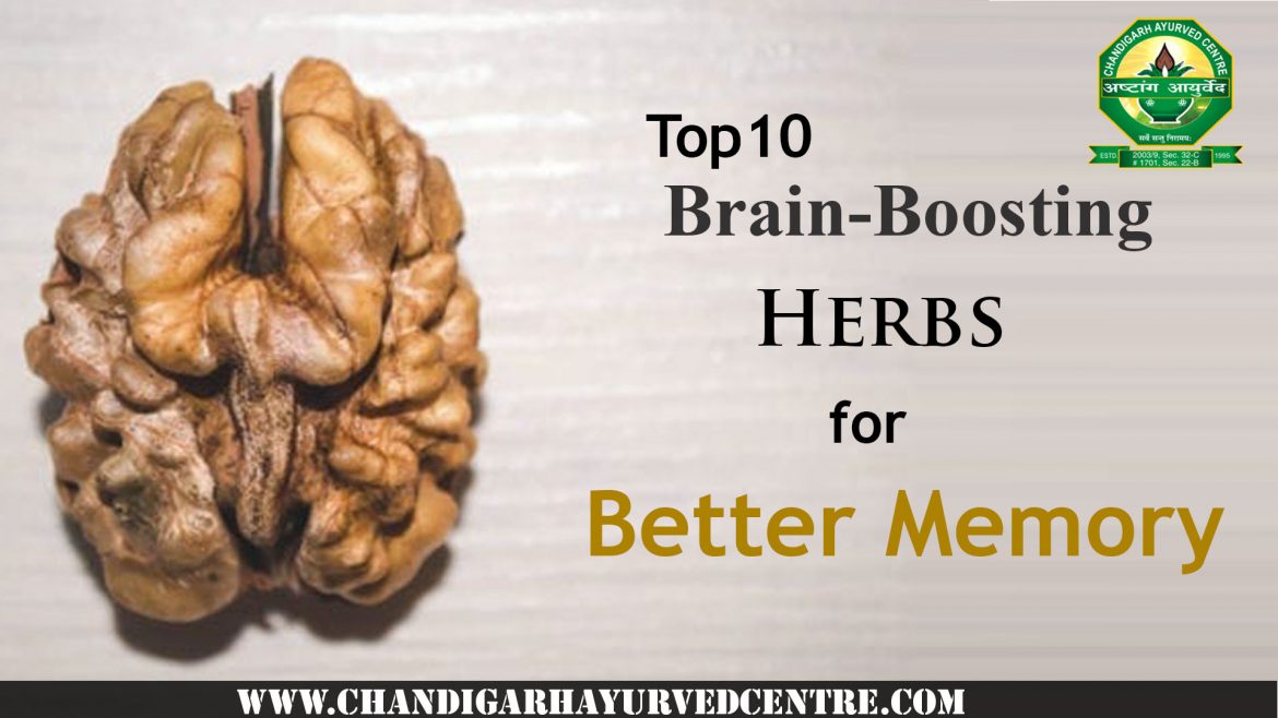 Top 10 Brain-Boosting Herbs for Better Memory