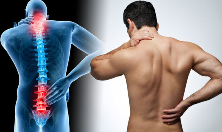 Ayurvedic & Panchakarma Treatment of Back Pain