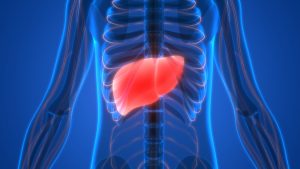 Fatty Liver