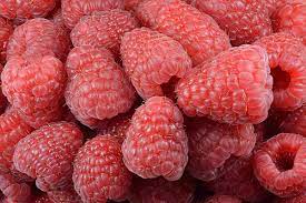 Red Raspberry remedy for Ovarian Cyst