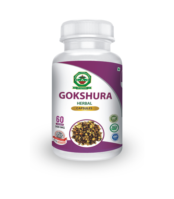 Gokshura Capsules