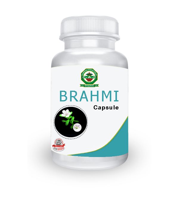 brahmi