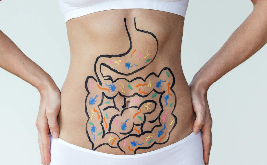 Healthy Digestive Track