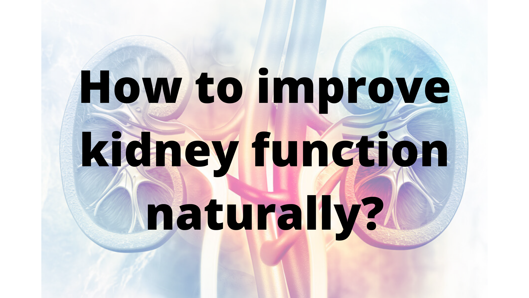 kidney function naturally