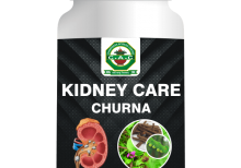 KIDNEY CARE CHURNA