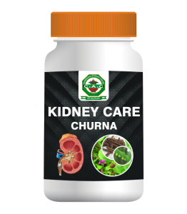 KIDNEY CARE CHURNA