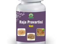 raja pravartini vati