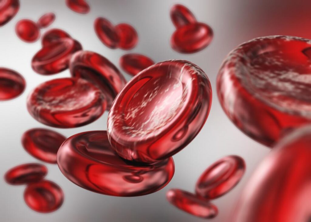 Low Hemoglobin Chandigarh Ayurved Panchakarma Centre