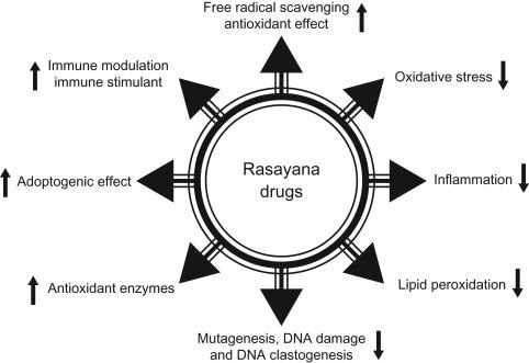 Rasayana- Rejuvination Therapy