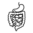 Digestive