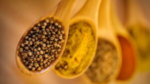 Coriander Seeds