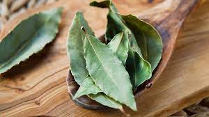 Bay leaf