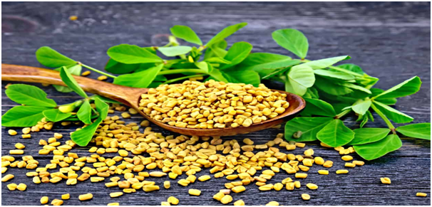 Fenugreek for hair growth