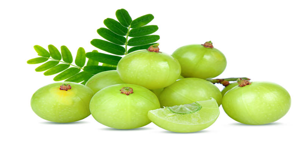 Amla