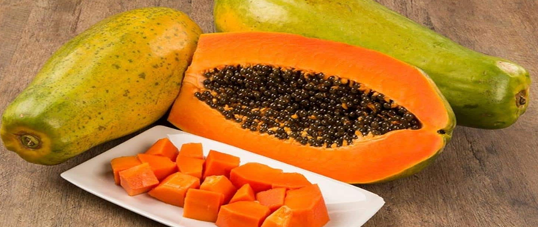 PAPAYA