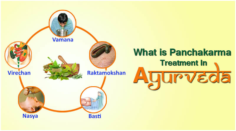 Panchkarma Treatment Purifies The Body And Mind