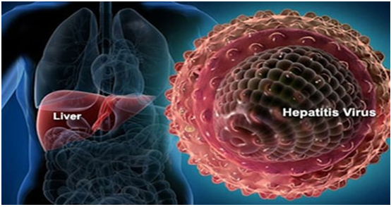 Ayurvedic treatment for hepatitis