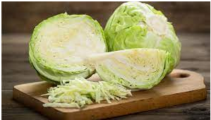 CABBAGE