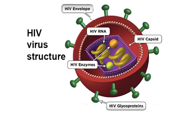 TREATMENT OF HIV IN AYURVEDA