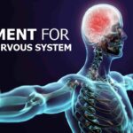 Best-Ayurvedic-Treatment-For-Nervous-System