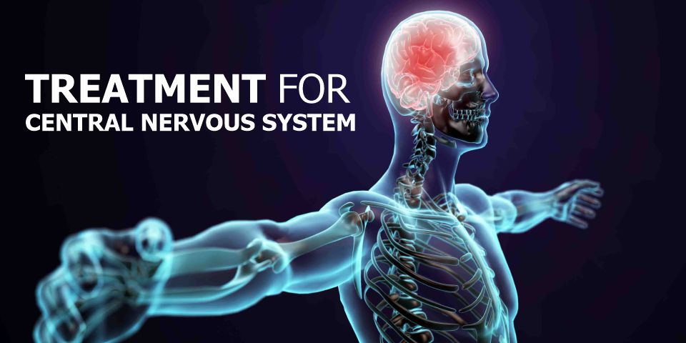 Best-Ayurvedic-Treatment-For-Nervous-System