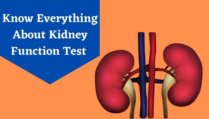 Kidney-Function-Test