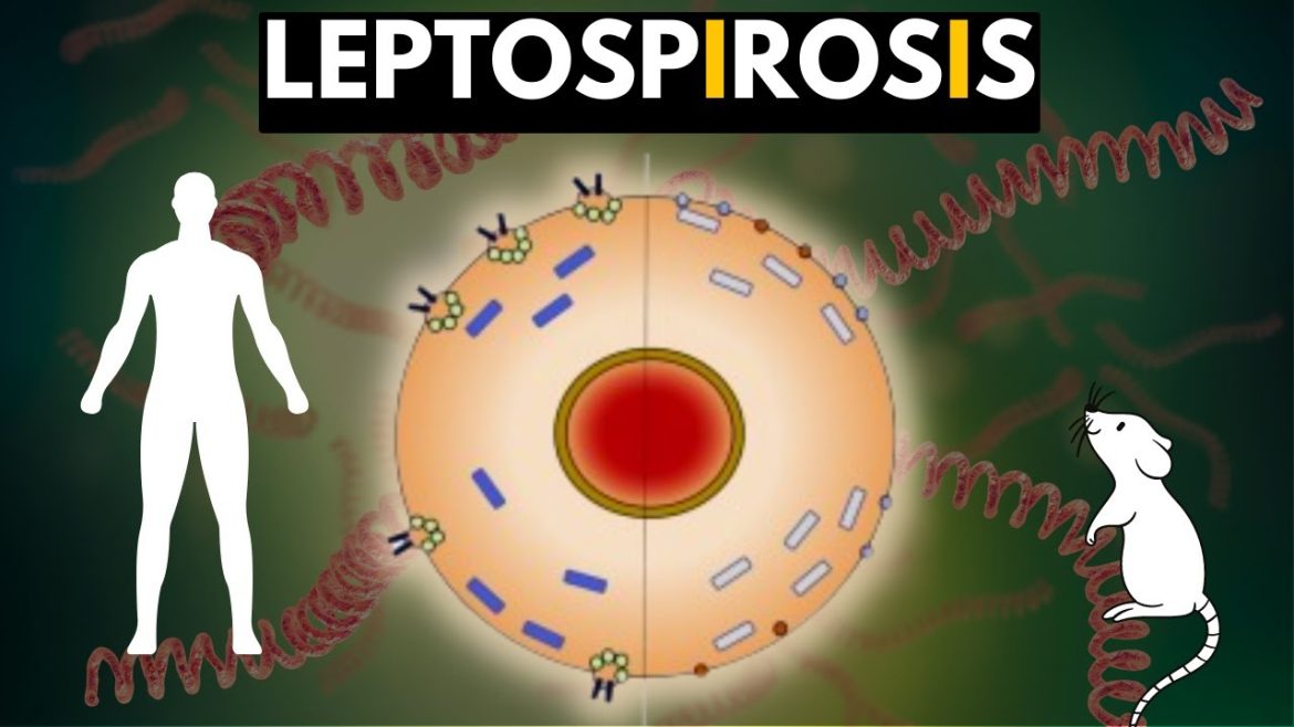 LEPTOSPIROSIS