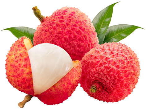 LITCHI