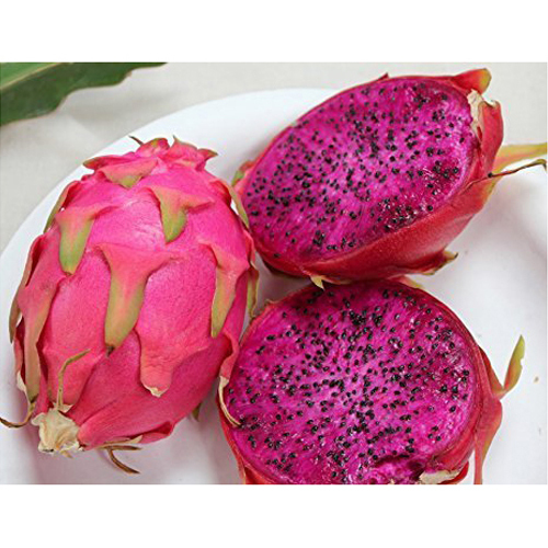 dragon-fruit